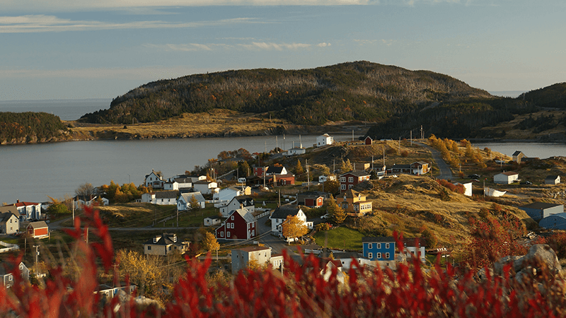 An aerial view of the historic town of Trinity.