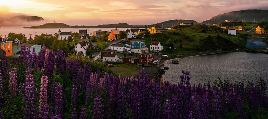 A scenic coastal village is bathed in warm sunset light. Colorful houses are nestled among lush green hills, with vibrant purple flowers in the foreground. The calm sea and misty islands are visible in the background.
