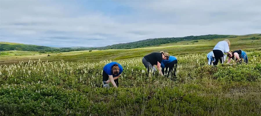 Close-up of purple lupine flowers in the foreground with a blurred background of several people standing and conversing in a lush, green outdoor setting.