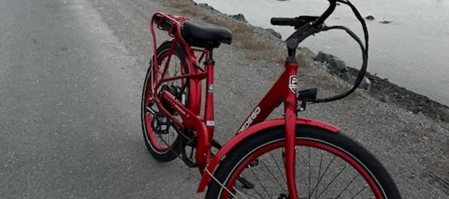 A red bicycle is parked on a paved path beside a body of water. The bike has wide tires, a rear rack, and a curvy frame. The surrounding area has gravel and sparse grass near the water’s edge.