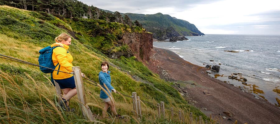 Three puffins with colorful beaks rest on a grassy cliffside against a hazy gray-blue sky.