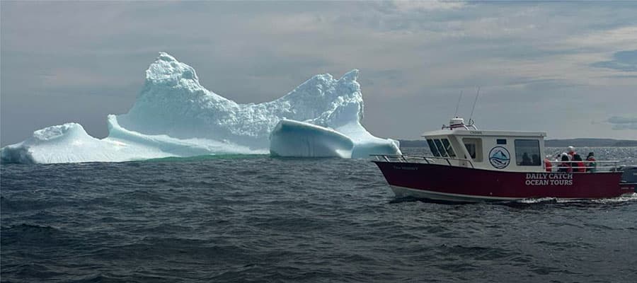 A whale tail emerges from the ocean, with water cascading off. In the background, there are rocky cliffs and several birds flying above the water.