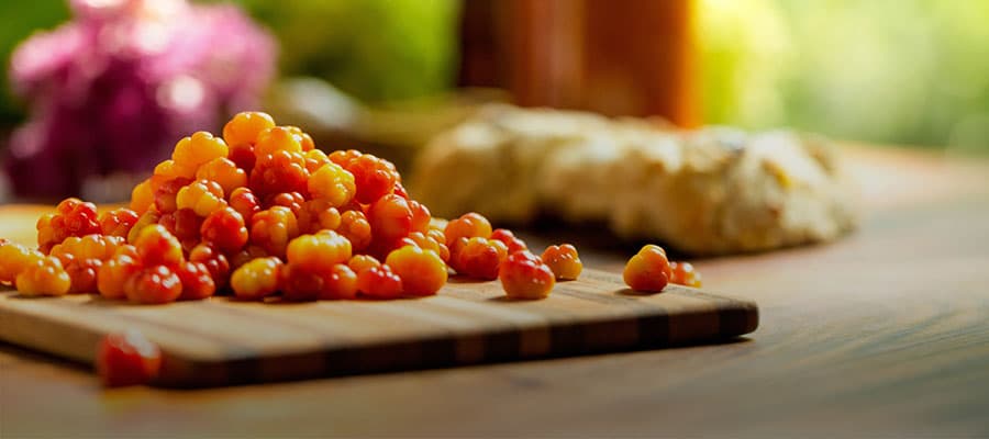 A small inflatable boat with an outboard motor carries four people wearing life jackets on a calm water body. They are surrounded by a rocky shoreline and dense evergreen trees under an overcast sky.