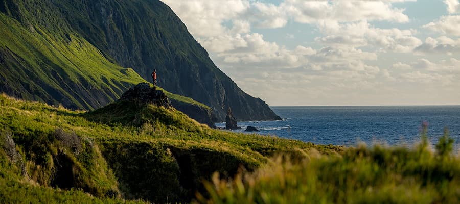 A person stands on a grassy hill overlooking the ocean, with a rugged cliffside covered in greenery to the left. The sky is dotted with clouds, and the scene conveys a sense of tranquility and vastness.