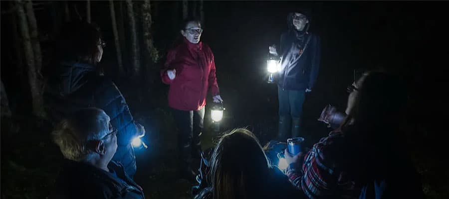 Aerial view of a vast canyon with steep cliffs and a wide, winding river cutting through lush green forests under a clear blue sky.