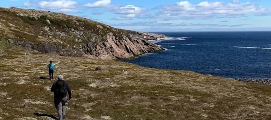 Two people walk along a grassy, rocky coastline with a clear blue sky overhead. The ocean is to their right, with waves lapping against the shore. The terrain is rugged, with patches of shrubs and hills in the background.