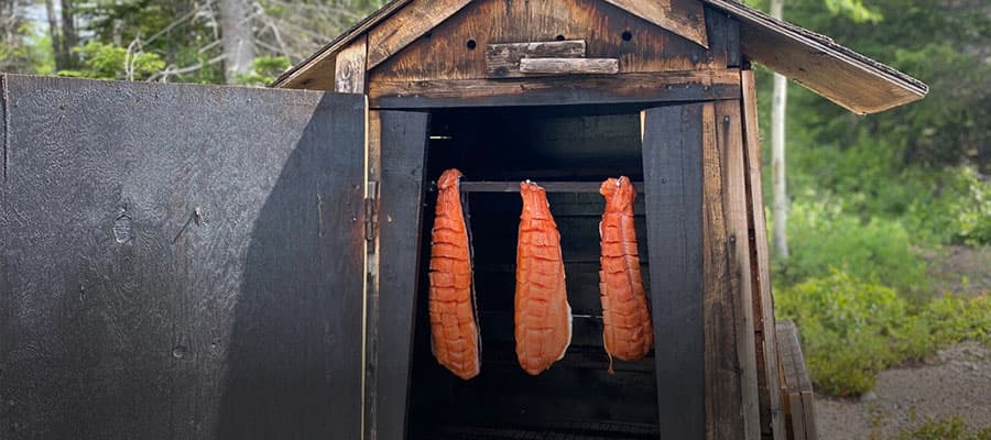 Wooden benches and tables under a covered area overlook a sandy beach with some green grass and rugged paths. The view extends to a calm sea and a distant coastline under a clear blue sky with scattered clouds.