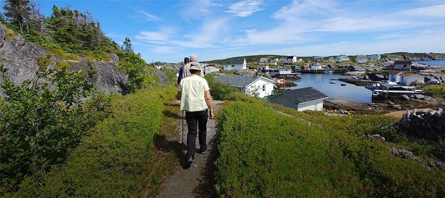 Viking-style sod-roofed buildings with wooden walls are set on a grassy landscape under a cloudy sky. A ladder leans against one building, and wooden furniture is scattered in front. The scene evokes a rustic, historical atmosphere.