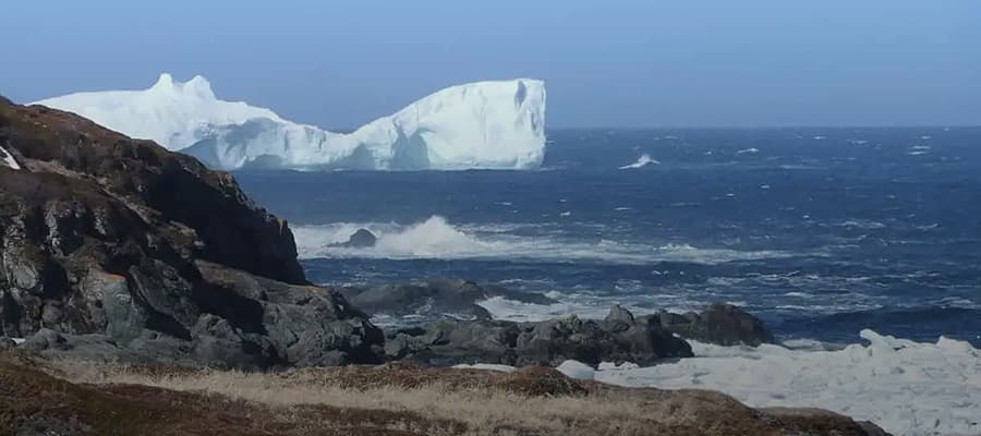 A large iceberg floats in a deep blue ocean near the rocky coastline. Waves crash against the shore, and the foreground shows patches of brown grass and rocky terrain under a clear sky.