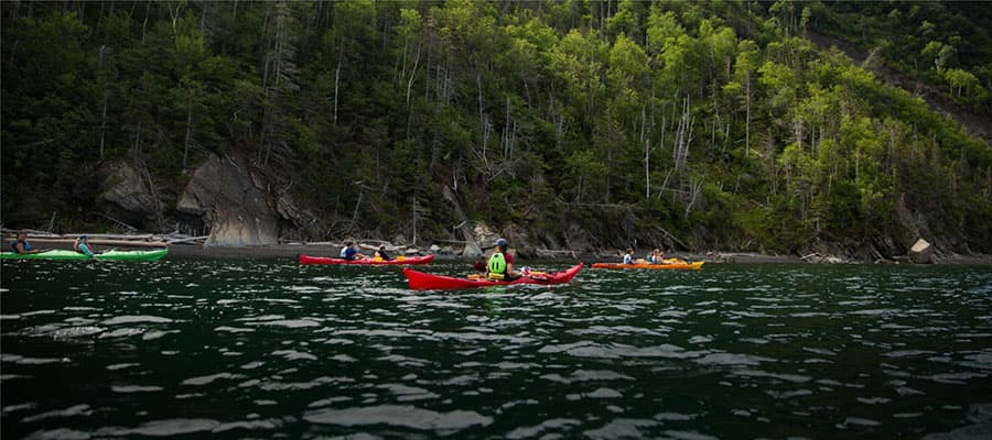 A whale's tail emerges from the water as it dives back into the ocean. In the background, rocky cliffs are visible under a partly cloudy sky. Several birds fly above the water, gliding near the whale.