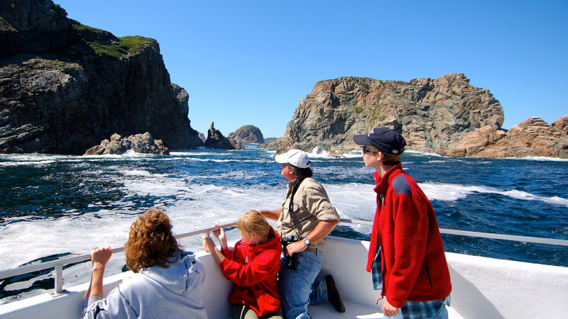 A family exploring the rugged coastline from the ocean during a boat tour.
