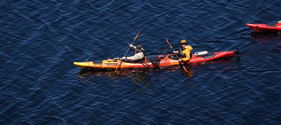 A group of kayakers are out on the water near the coastline.