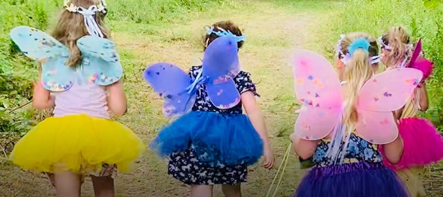 Children dressed as fairies are walking in a field.