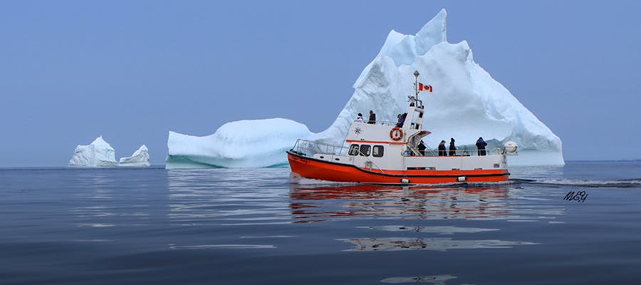 Icebergs tower over a tour boat in Red Bay.
